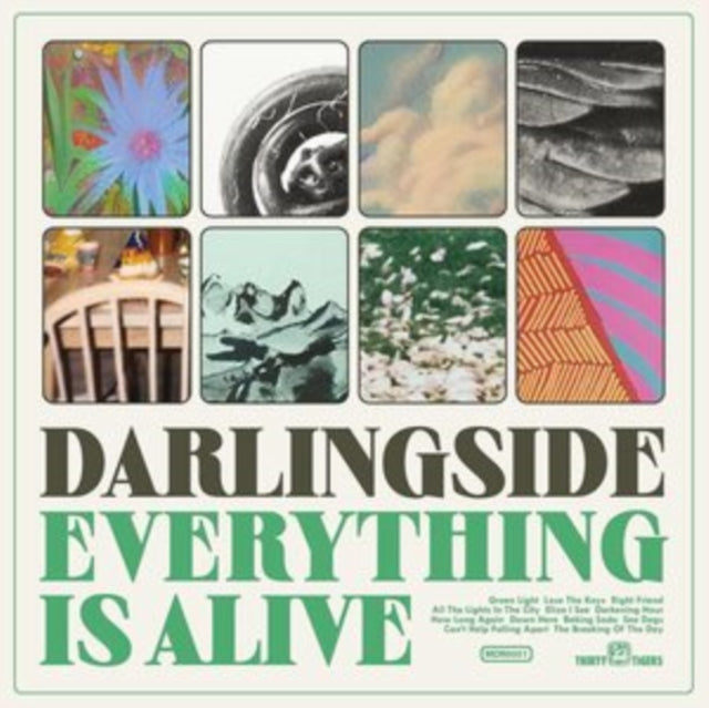 DARLINGSIDE | EVERYTHING IS ALIVE | VINYL RECORD (LP)