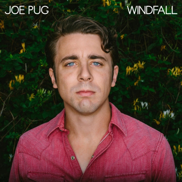 PUG, JOE | WINDFALL | VINYL RECORD (LP)