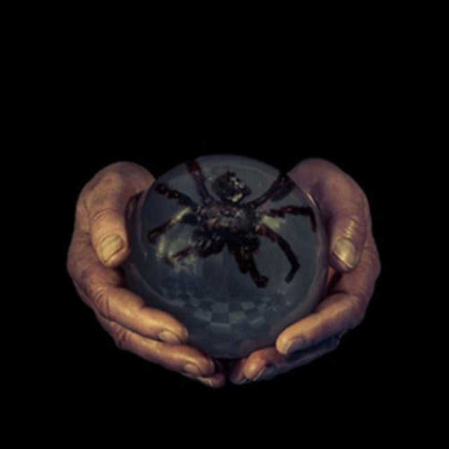 GOOTER, BUCK | SPIDER'S EYES | VINYL RECORD (LP)