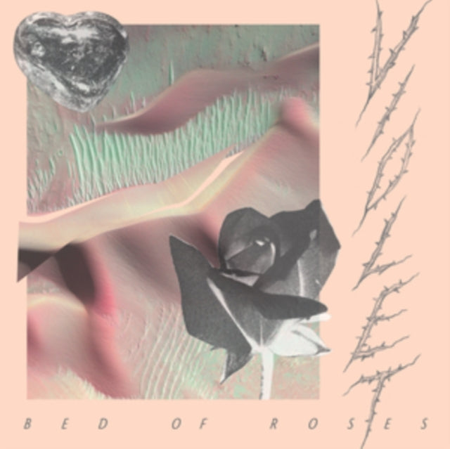 VIOLET | BED OF ROSES | VINYL RECORD (LP)
