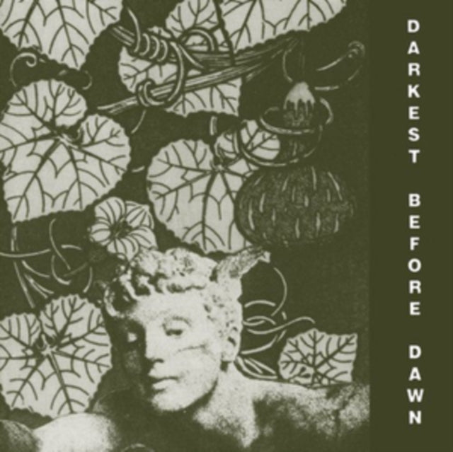 DARK DAY | DARKEST BEFORE DAWN | VINYL RECORD (LP)