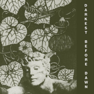 DARK DAY | DARKEST BEFORE DAWN | VINYL RECORD (LP)