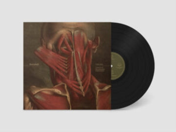 FALL: A SERIES OF DOCUMENTED EXPERIENCES | VINYL RECORD (LP)