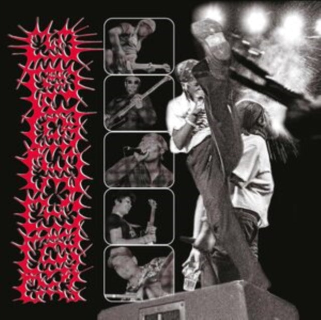 UPCHUCK | BITE THE HAND THAT FEEDS | VINYL RECORD (LP)