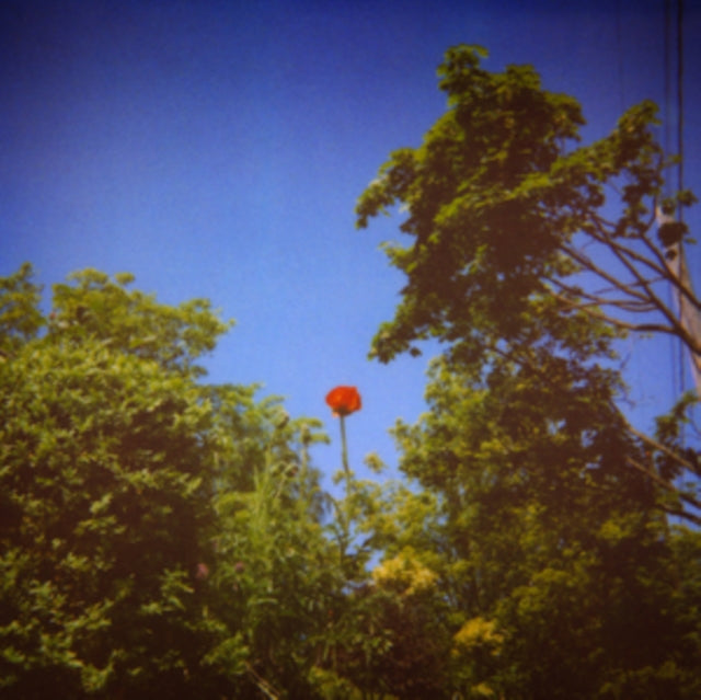 PIOULARD, BENOIT | SONNET | VINYL RECORD (LP)