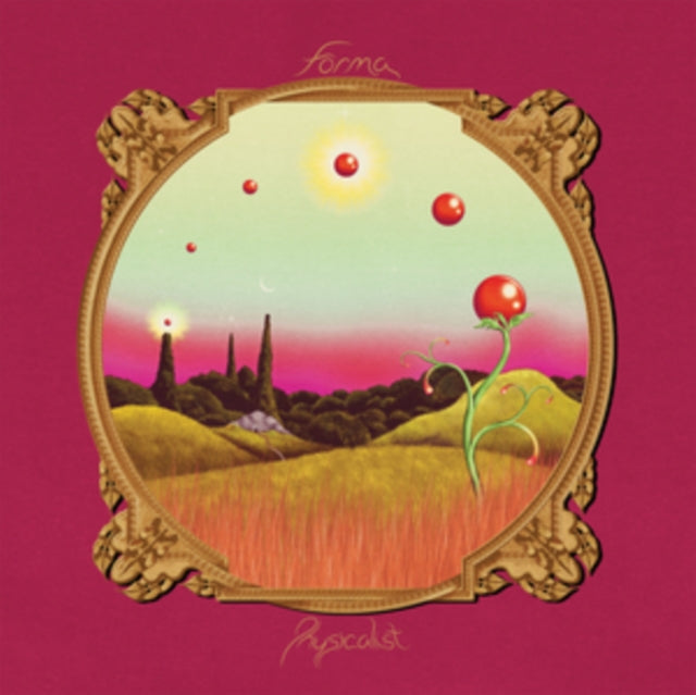 FORMA | PHYSICALIST | VINYL RECORD (LP)