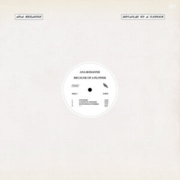 ROXANNE, ANA | BECAUSE OF A FLOWER | VINYL RECORD (LP)