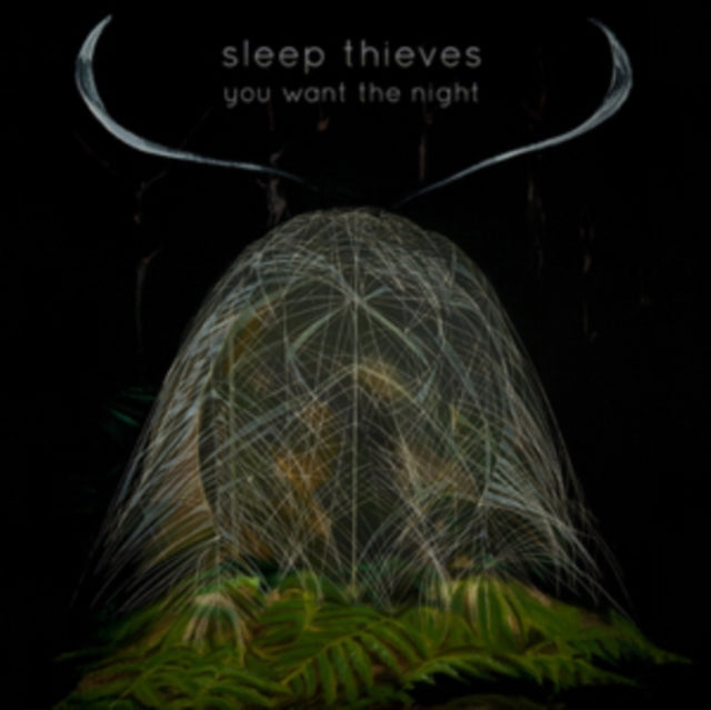 SLEEP THIEVES | YOU WANT THE NIGHT | VINYL RECORD (LP)