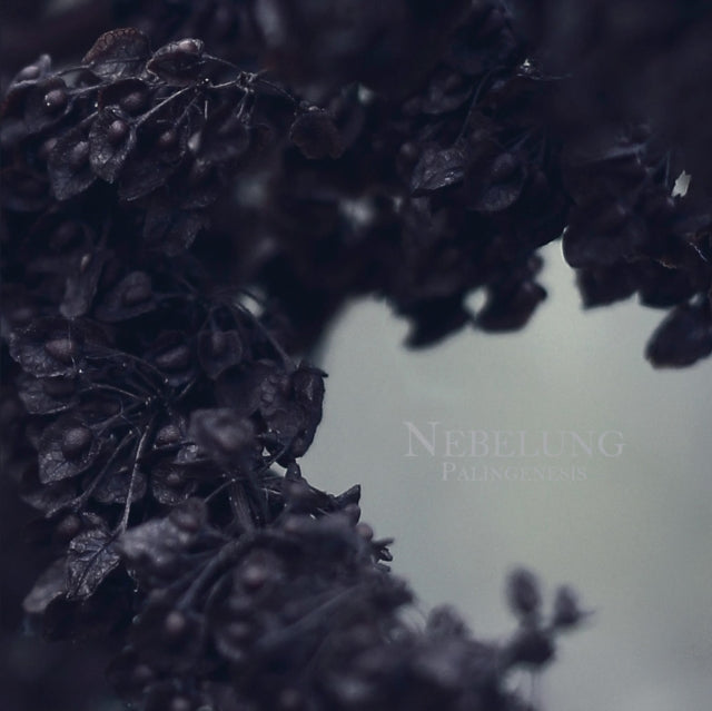 NEBELUNG | PALINGENESIS | VINYL RECORD (LP)