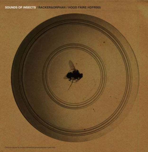 RACKER & ORPHAN | SOUNDS OF INSECTS | 10IN VINYL