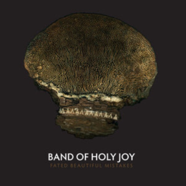 BAND OF HOLY JOY | FATED BEAUTIFUL MISTAKES | VINYL RECORD (LP)