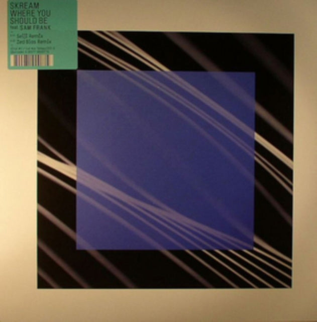 SKREAM | WHERE YOU SHOULD BE FEAT. SAM FRANK PT.2 | 12IN VINYL