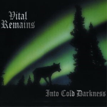VITAL REMAINS | INTO COLD DARKNESS | VINYL RECORD (LP)