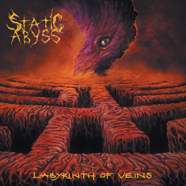 STATIC ABYSS | LABYRINTH OF VEINS | VINYL RECORD (LP)