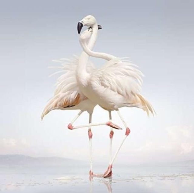 RUSTIE | GREEN LANGUAGE | VINYL RECORD (LP)
