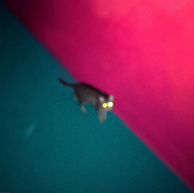 !!! (CHK CHK CHK) | WALLOP (2LP/DL CARD) | VINYL RECORD (LP)