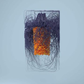 PLAID | POLYMER (2LP/DL CARD) | VINYL RECORD (LP)
