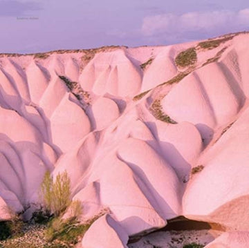 AUTECHRE | AMBER | VINYL RECORD (LP)