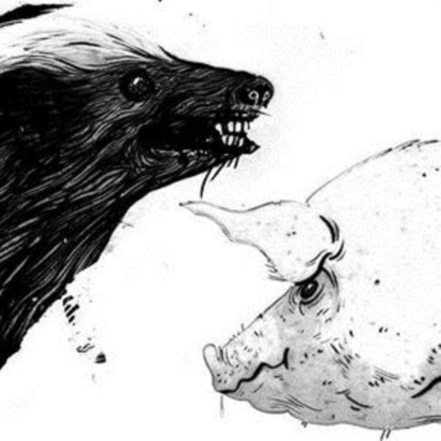 CLARK | HONEY BADGER / PIG LTD | 12IN VINYL