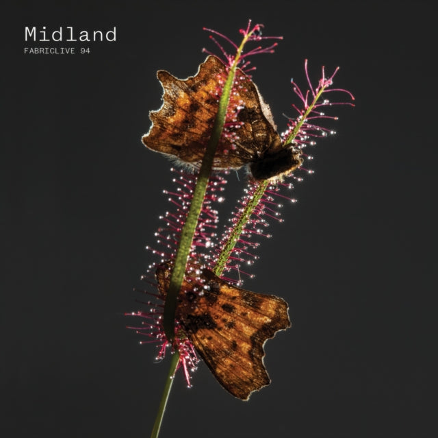 MIDLAND | FABRICLIVE 94 | CD