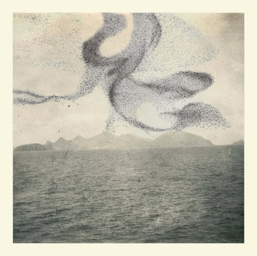 SMALL MURMURATION | VINYL RECORD (LP)