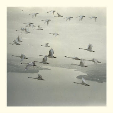 SNOW GHOSTS | AND THE WORLD WAS GONE | 12IN VINYL
