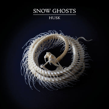 HUSK | 12IN VINYL