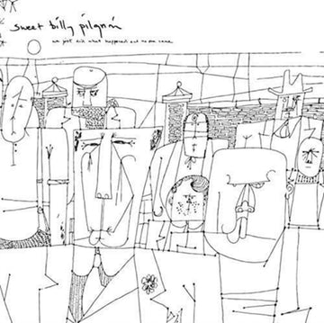 SWEET BILLY PILGRIM | WE JUST DID WHAT HAPPENED & NO ONE CAME | VINYL RECORD (LP)