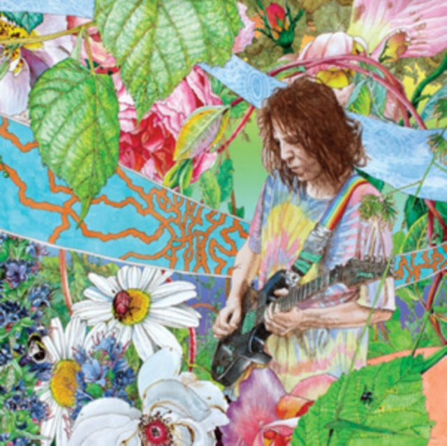 WYNNE, ED | SHIMMER INTO NATURE | VINYL RECORD (LP)