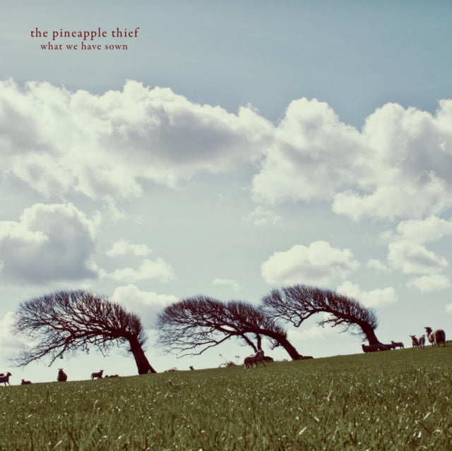 PINEAPPLE THIEF | WHAT WE HAVE SOWN | VINYL RECORD (LP)