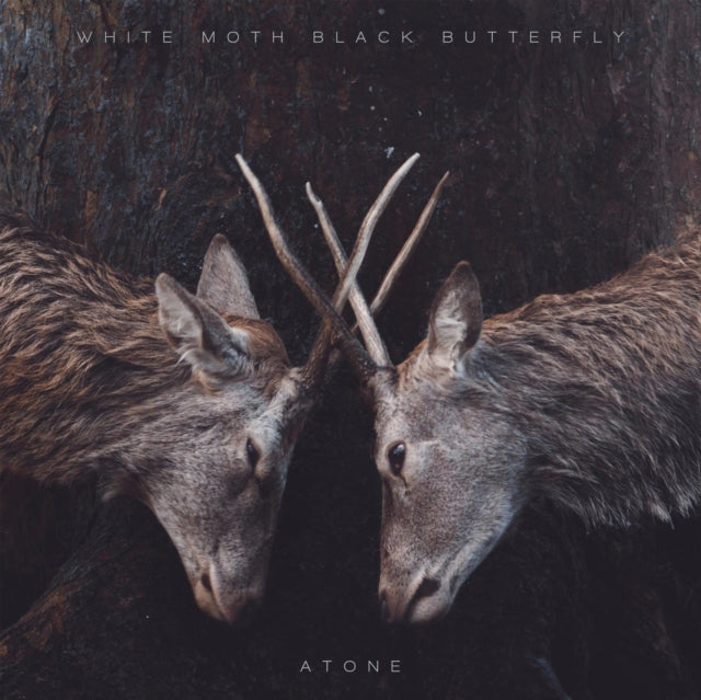 WHITE MOTH BLACK BUTTERFLY | ATONE (LP) | VINYL RECORD (LP)