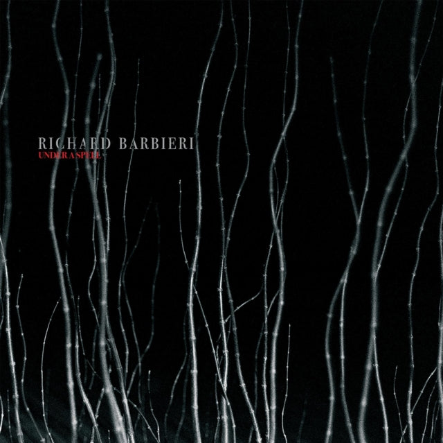 BARBIERI, RICHARD | UNDER A SPELL (2LP) | VINYL RECORD (LP)