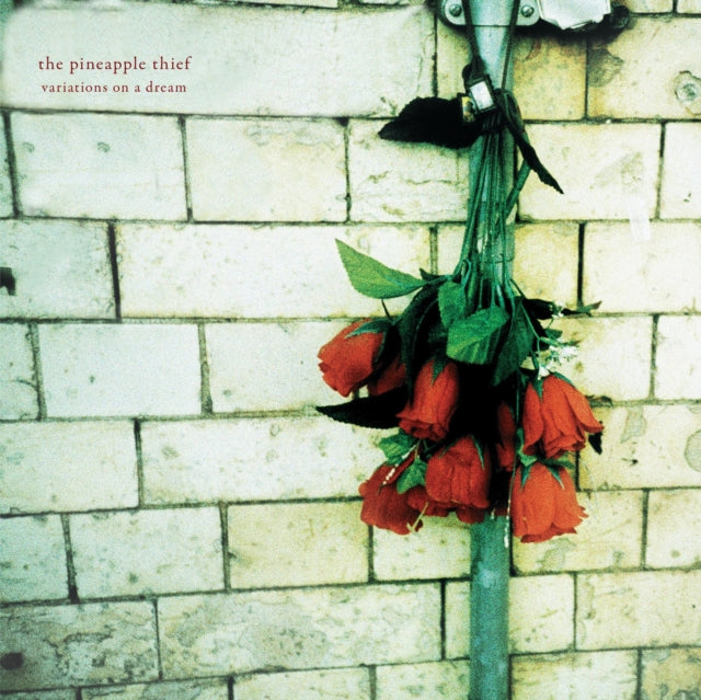 PINEAPPLE THIEF | VARIATIONS ON A DREAM | VINYL RECORD (LP)
