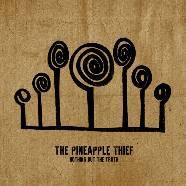 PINEAPPLE THIEF | NOTHING BUT THE TRUTH | VINYL RECORD (LP)