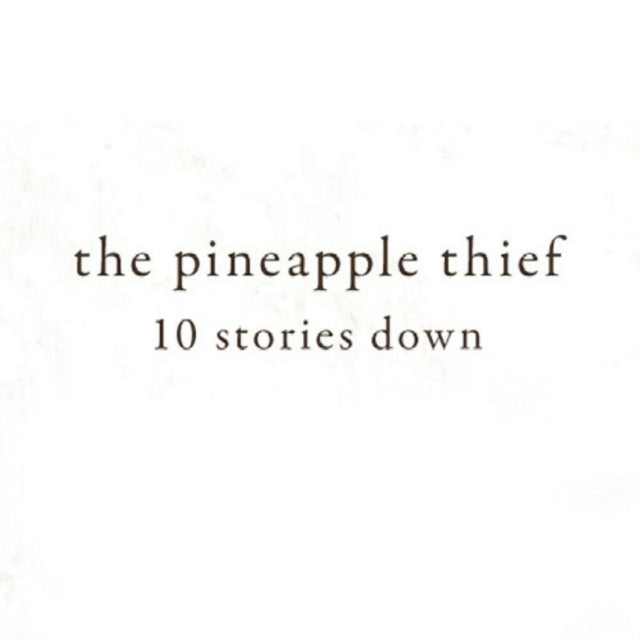 PINEAPPLE THIEF | 10 STORIES DOWN | VINYL RECORD (LP)