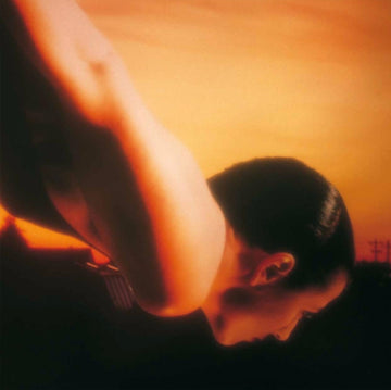 ON THE SUNDAY OF LIFE (2LP) | VINYL RECORD (LP)