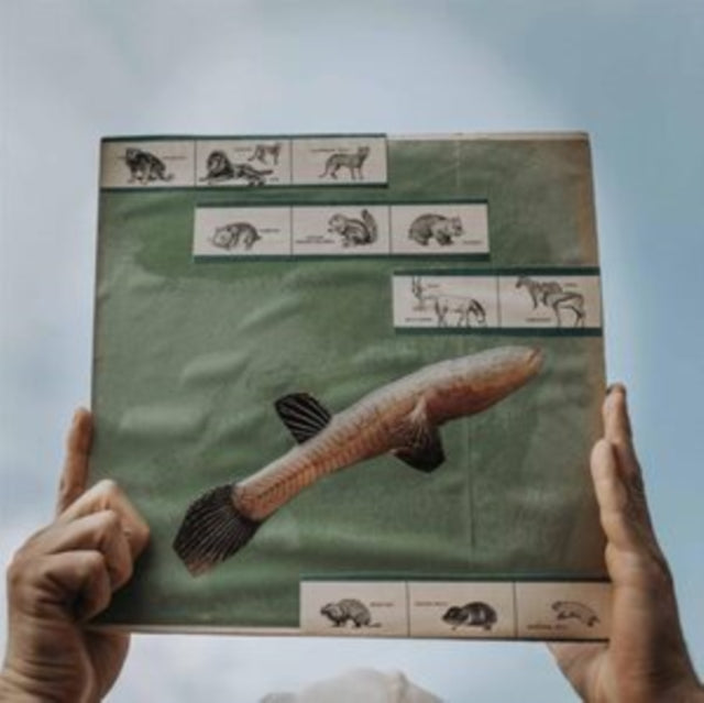 COTTON JONES | RIVER STRUMMING (180G) | VINYL RECORD (LP)