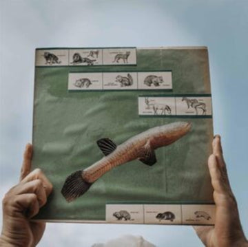 COTTON JONES | RIVER STRUMMING (180G) | VINYL RECORD (LP)
