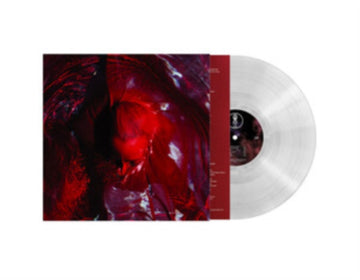 NOT HERE NOT GONE (CLEAR VINYL) | VINYL RECORD (LP)