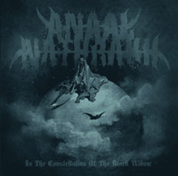 IN THE CONSTELLATION OF | VINYL RECORD (LP)