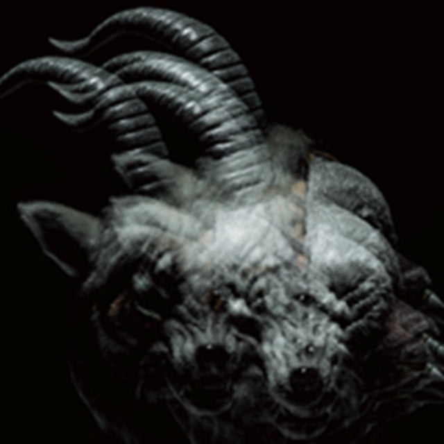 GAZETTE | BEAUTIFUL DEFORMITY | CD