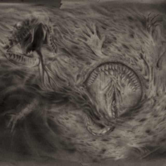 NIDSANG | INTO THE WOMB OF DISSOLVING FLAMES | VINYL RECORD (LP)