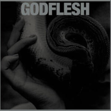 GODFLESH | PURGE | VINYL RECORD (LP)