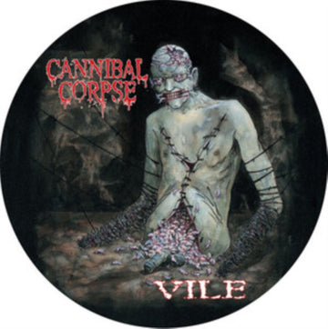 VILE (PICTURE DISC) | VINYL RECORD (LP)