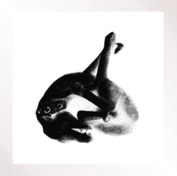PATRICIA | SEVERAL SHADES OF THE SAME COLOR PART 3 | VINYL RECORD (LP)
