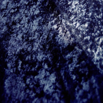 FORT ROMEAU | INSIDES | VINYL RECORD (LP)