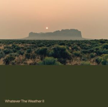 WHATEVER THE WEATHER II (DARK GREEN VINYL) | VINYL RECORD (LP)