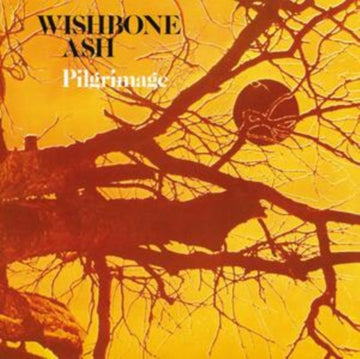 PILGRIMAGE (180G) | VINYL RECORD (LP)