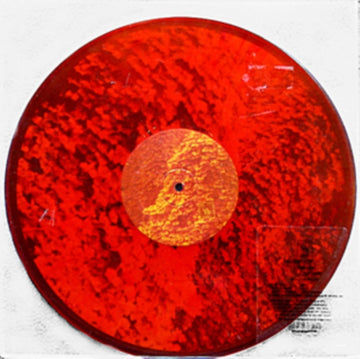 RARE EARTH | VINYL RECORD (LP)