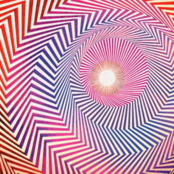ELECTRICAL FIELD OF LOVE | VINYL RECORD (LP)